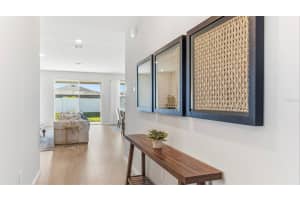 1509 LOVE GRASS TERRACE, PARRISH, FL 34219 - MLS#MFRA4691143