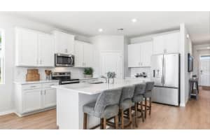 1509 LOVE GRASS TERRACE, PARRISH, FL 34219 - MLS#MFRA4691143