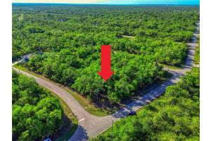 14157 DARWIN AVENUE, PORT CHARLOTTE, FL 33953 - MLS#MFRA4691306