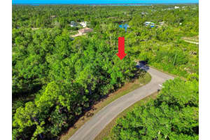 14157 DARWIN AVENUE, PORT CHARLOTTE, FL 33953 - MLS#MFRA4691306