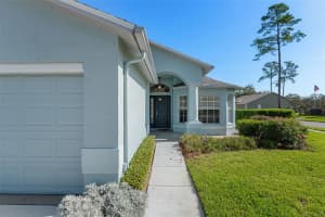 18236 WEBSTER GROVE DRIVE, HUDSON, FL 34667 - MLS#MFRA4691455