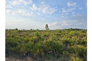 49173 BERMONT ROAD, PUNTA GORDA, FL 33982 - MLS#MFRA4692295