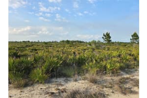 49173 BERMONT ROAD, PUNTA GORDA, FL 33982 - MLS#MFRA4692295