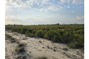 49173 BERMONT ROAD, PUNTA GORDA, FL 33982 - MLS#MFRA4692295