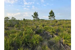 49173 BERMONT ROAD, PUNTA GORDA, FL 33982 - MLS#MFRA4692295