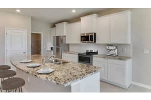 1505 LOVE GRASS TERRACE, PARRISH, FL 34219 - MLS#MFRA4692513