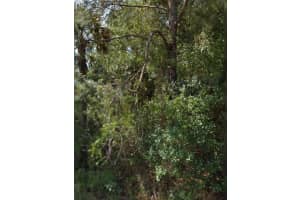 OHIO RD, NORTH PORT, FL 34291 - MLS#MFRA4692583
