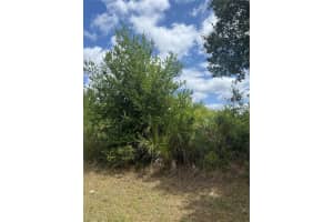 12090 ZITTLE AVENUE, PORT CHARLOTTE, FL 33981 - MLS#MFRA4692596