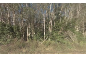 1671 ACREMAKER ROAD, NAPLES, FL 34120 - MLS#MFRA4692636