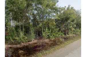 3358 TIFFINY STREET, PUNTA GORDA, FL 33980 - MLS#MFRA4692705