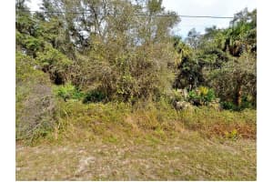 FLING AVE., NORTH PORT, FL 34291 - MLS#MFRA4692868