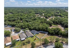 25944 WINNING COLORS WAY, WESLEY CHAPEL, FL 33544 - MLS#MFRA4692987