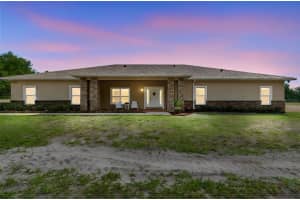 29913 DARBY ROAD, DADE CITY, FL 33525 - MLS#MFRA4693016