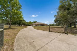 29913 DARBY ROAD, DADE CITY, FL 33525 - MLS#MFRA4693016