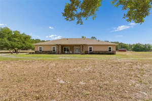 29913 DARBY ROAD, DADE CITY, FL 33525 - MLS#MFRA4693016