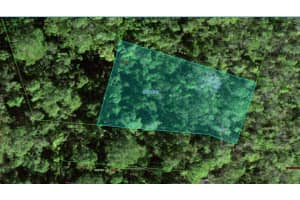 28-28-02-934710-003070 PERCH DRIVE, POINCIANA, FL 34759 - MLS#MFRA4693184
