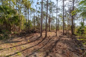12428 CARAVAN DRIVE, PUNTA GORDA, FL 33955 - MLS#MFRA4693186