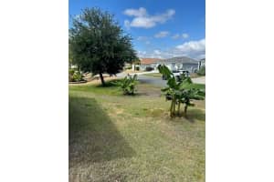 3074 BRINE WAY, THE VILLAGES, FL 32163 - MLS#MFRA4693191