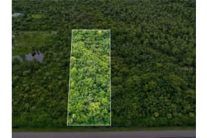 SHADY HOLLOW BLVD E, NAPLES, FL 34120 - MLS#MFRA4693712