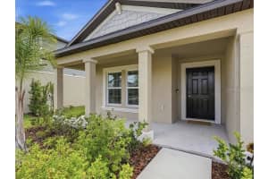 12032 BLUE DIAMOND TRAIL, PARRISH, FL 34219 - MLS#MFRA4694116