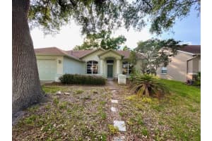 1135 BIG SKY DRIVE, WESLEY CHAPEL, FL 33543 - MLS#MFRA4694154