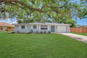 361 Falkland Rd, VENICE