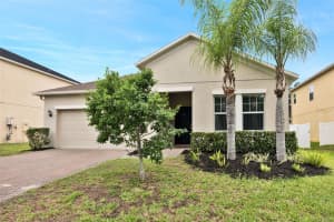 3116 CALVANO DRIVE, LAND O LAKES, FL 34639 - MLS#MFRA4694784