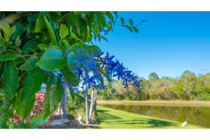 315 LONDONDERRY DRIVE, SARASOTA, FL 34240 - MLS#MFRA4694891
