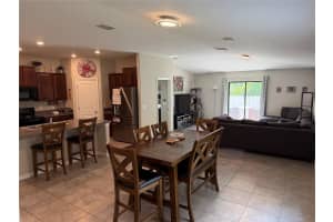 10130 ROSE PETAL PLACE, RIVERVIEW, FL 33578 - MLS#MFRA4695000