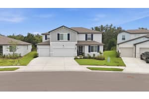 14026 GINNIE SPRINGS WAY, PARRISH, FL 34219 - MLS#MFRA4695111