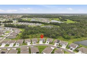 14026 GINNIE SPRINGS WAY, PARRISH, FL 34219 - MLS#MFRA4695111