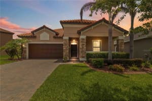 11833 FROST ASTER DRIVE, RIVERVIEW, FL 33579 - MLS#MFRA4695412