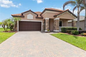 11833 FROST ASTER DRIVE, RIVERVIEW, FL 33579 - MLS#MFRA4695412