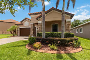 11833 FROST ASTER DRIVE, RIVERVIEW, FL 33579 - MLS#MFRA4695412