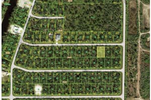 14239 DARWIN AVENUE, PORT CHARLOTTE, FL 33953 - MLS#MFRA4695758