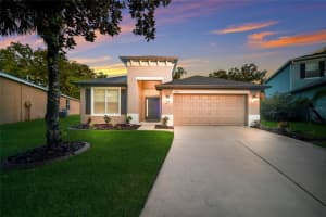 17463 New Cross Cir, LITHIA 17463 New Cross Cir, LITHIA