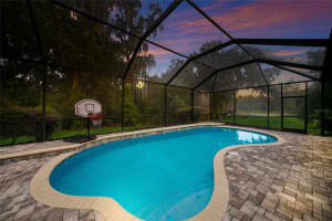 17463 NEW CROSS CIRCLE, LITHIA, FL 33547 - MLS#MFRA4695815