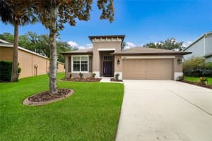 17463 NEW CROSS CIRCLE, LITHIA, FL 33547 - MLS#MFRA4695815