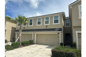 11634 Cambium Crown Dr, RIVERVIEW 11634 Cambium Crown Dr, RIVERVIEW
