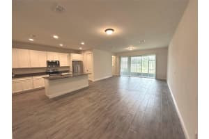 11634 CAMBIUM CROWN DRIVE, RIVERVIEW, FL 33569 - MLS#MFRA4696109