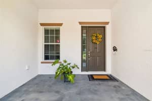 10524 MISTFLOWER LANE, TAMPA, FL 33647 - MLS#MFRA4697198