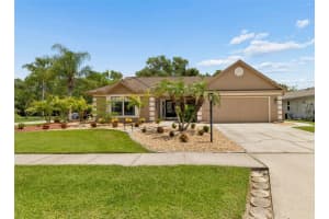 650 Sweetbriar Dr, OLDSMAR 650 Sweetbriar Dr, OLDSMAR