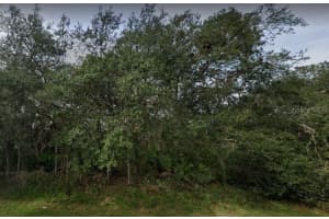 1402 PUNTA GORDA COURT, POINCIANA, FL 34759 - MLS#MFRB4901268