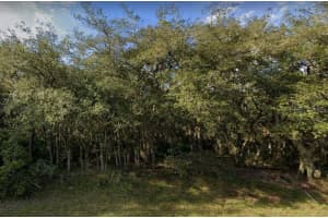 609 MARLIN WAY, POINCIANA, FL 34759 - MLS#MFRB4901270