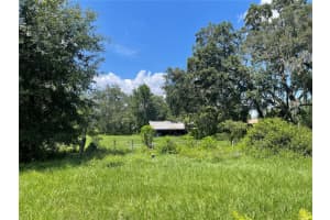 809 PIPKIN ROAD, LAKELAND, FL 33813 - MLS#MFRB4901283