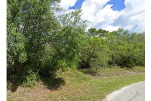 525 ST JOHNS COURT, KISSIMMEE, FL 34759 - MLS#MFRB4901563