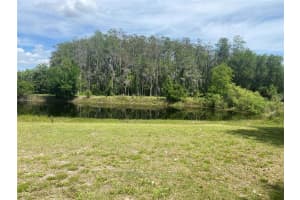 4151 BOGGY CREEK ROAD, KISSIMMEE, FL 34744 - MLS#MFRB4901955