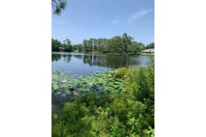 1709 STREAM AVENUE, SEBRING, FL 33875 - MLS#MFRB4901989