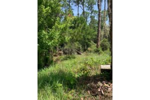 1709 STREAM AVENUE, SEBRING, FL 33875 - MLS#MFRB4901989