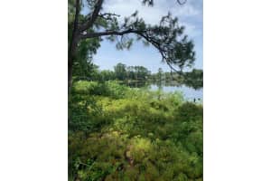 1709 STREAM AVENUE, SEBRING, FL 33875 - MLS#MFRB4901989